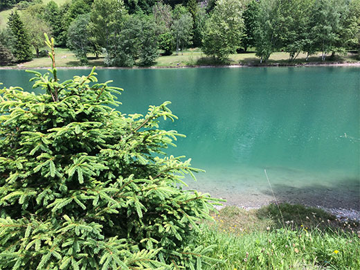 lac-des-ilettes-sallanches-4